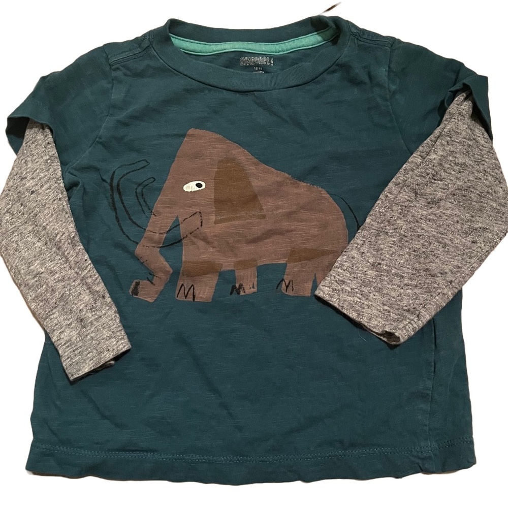 Gymboree Long Sleeve T- Shirt (12-18 months)